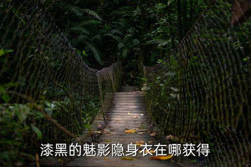 漆黑的魅影隐身衣在哪获得