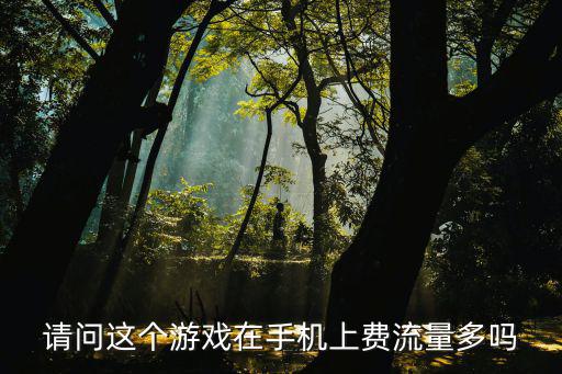 圣翼传说手游怎么这么费流量，请问这个游戏在手机上费流量多吗