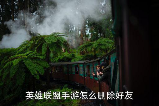 英雄联盟手游对话怎么删除，怎么删除lol界面和好友的聊天记录