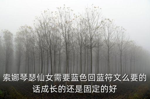 索娜琴瑟仙女需要蓝色回蓝符文么要的话成长的还是固定的好