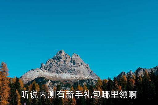 听说内测有新手礼包哪里领啊