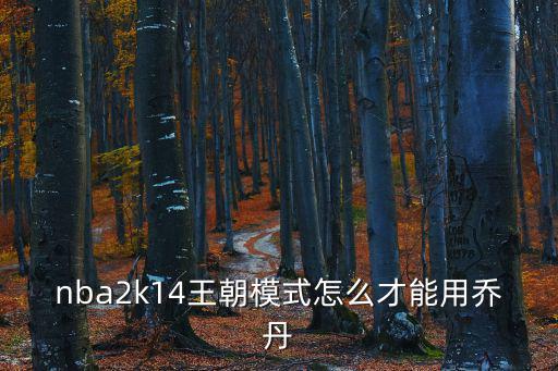 nba2k14王朝模式怎么才能用乔丹