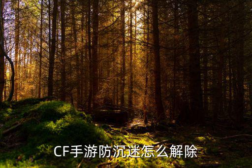 cf手游防沉迷怎么解除，CF手游防沉迷怎么解除