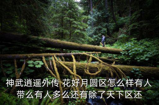 神武逍遥外传 花好月圆区怎么样有人带么有人多么还有除了天下区还