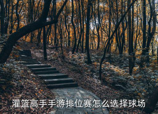 灌篮高手手游排位赛怎么选择球场