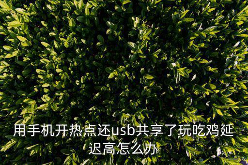 用手机开热点还usb共享了玩吃鸡延迟高怎么办