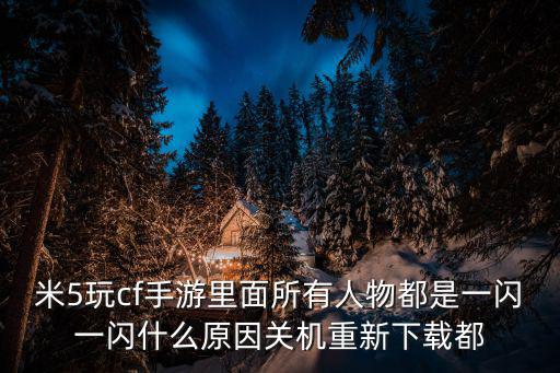 米5玩cf手游里面所有人物都是一闪一闪什么原因关机重新下载都
