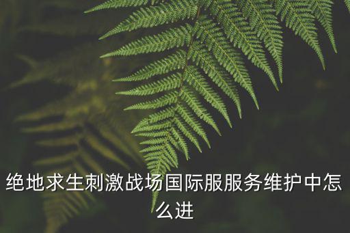 绝地求生刺激战场国际服服务维护中怎么进