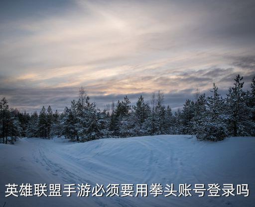 lol手游拳头账号怎么登录，英雄联盟手游必须要用拳头账号登录吗