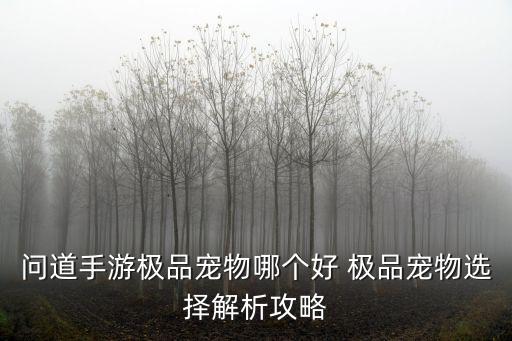 问道手游极品宠物哪个好 极品宠物选择解析攻略
