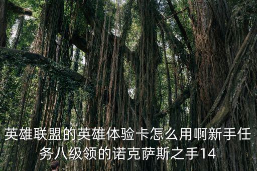 英雄联盟的英雄体验卡怎么用啊新手任务八级领的诺克萨斯之手14