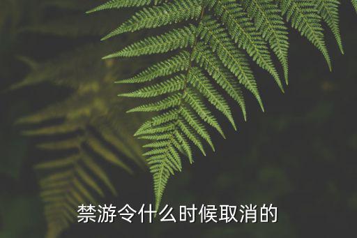 禁游令什么时候取消的