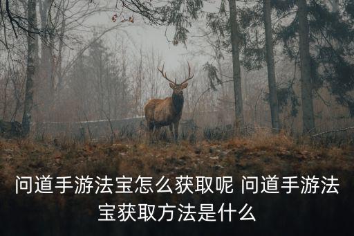 问道手游元神法宝怎么得，问道手游法宝怎么得到