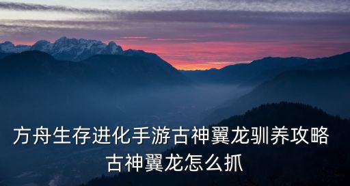 方舟生存进化手游古神翼龙驯养攻略 古神翼龙怎么抓