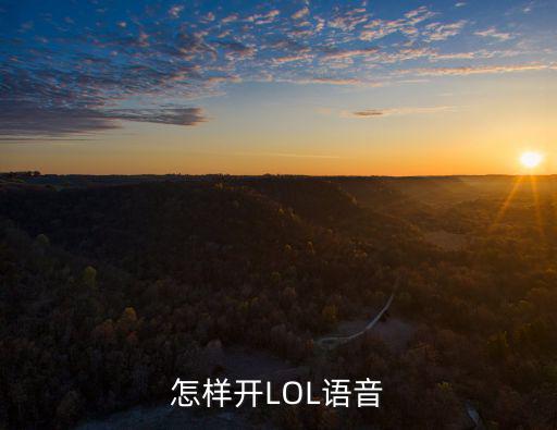 怎样开LOL语音