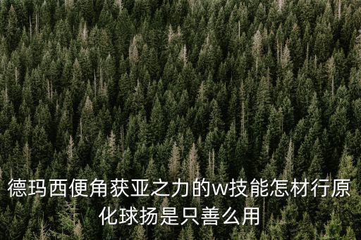 手游德玛的w怎么用，手游啦啦啦德玛西亚技能碎片怎样用求攻略