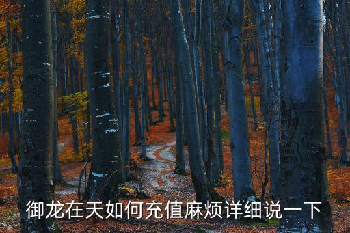 御龙在天如何充值麻烦详细说一下