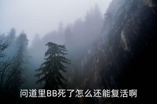 问道里BB死了怎么还能复活啊