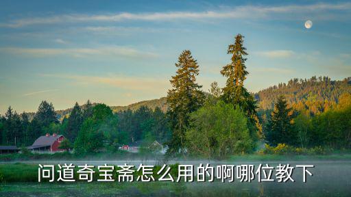 问道奇宝斋怎么用的啊哪位教下