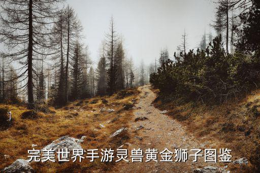 完美世界手游灵兽黄金狮子图鉴