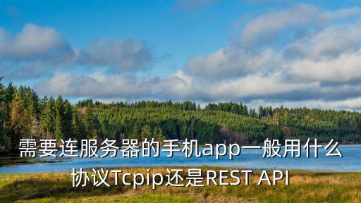 需要连服务器的手机app一般用什么协议Tcpip还是REST API