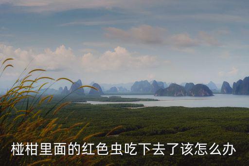 天谕手游红色玄鲸怎么来的，地下城鬼剑士转职需要的60个红色小晶块怎么弄来啊急死我了