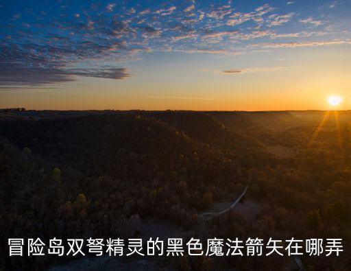 冒险岛双弩精灵的黑色魔法箭矢在哪弄