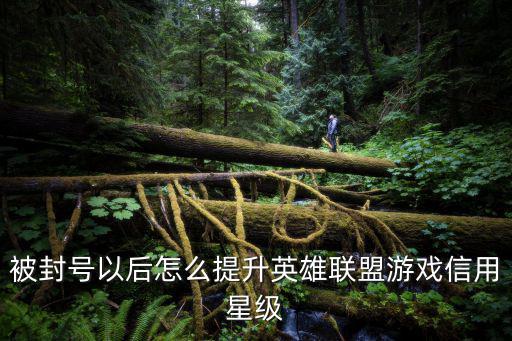 被封号以后怎么提升英雄联盟游戏信用星级