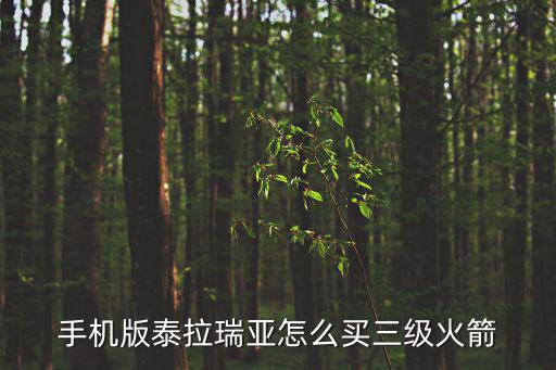 手机版泰拉瑞亚怎么买三级火箭