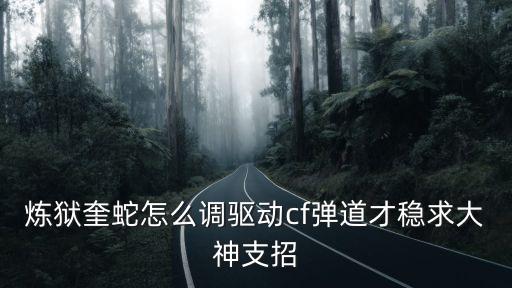 炼狱奎蛇怎么调驱动cf弹道才稳求大神支招