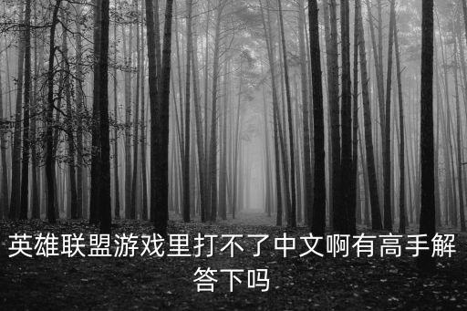 英雄联盟游戏里打不了中文啊有高手解答下吗