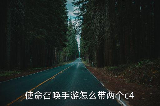 使命召唤手游怎么带两个c4