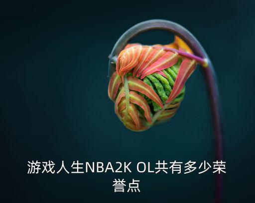 手游2k20生涯怎么有战术，游戏人生NBA2K OL共有多少荣誉点