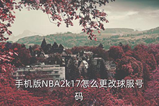 nba 2k22手游生涯怎么改号码，手机版NBA2k17怎么更改球服号码