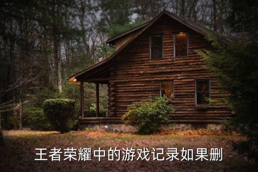 王者荣耀手游中单嫦娥怎么玩，比鸡游戏怎么玩的啊