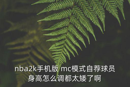 nba2k手机版 mc模式自荐球员身高怎么调都太矮了啊