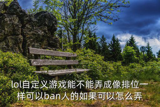 lol自定义游戏能不能弄成像排位一样可以ban人的如果可以怎么弄