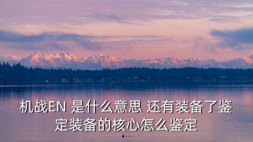 机战EN 是什么意思 还有装备了鉴定装备的核心怎么鉴定