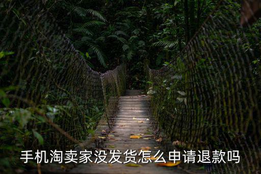淘手游卖家没发货怎么退款，手机淘卖家没发货怎么申请退款吗