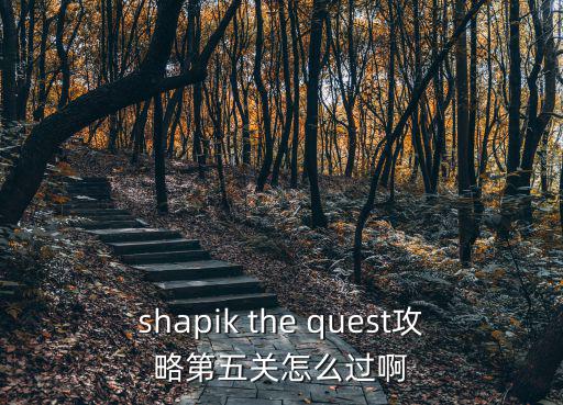 shapik the quest攻略第五关怎么过啊