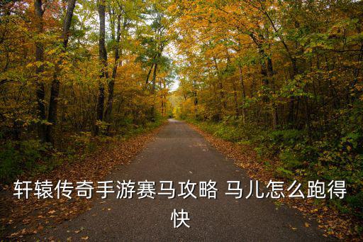 轩辕传奇手游怎么赛马，轩辕传奇游戏一天能跑几场马