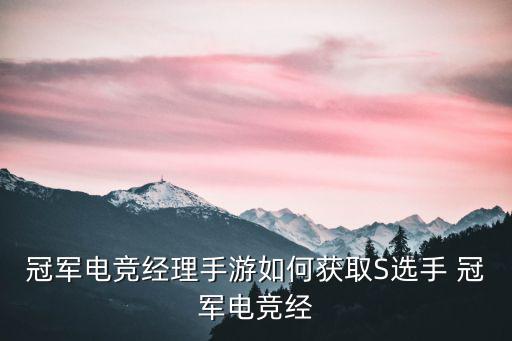 冠军电竞经理手游如何获取S选手 冠军电竞经