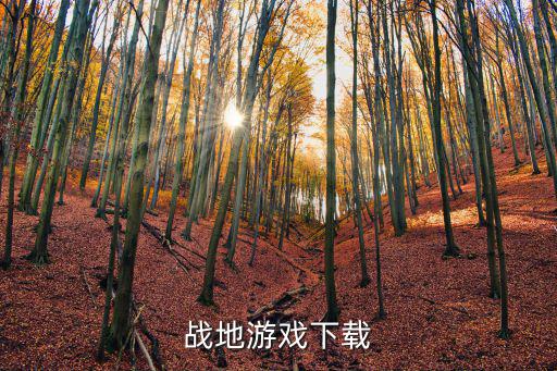 战地游戏下载