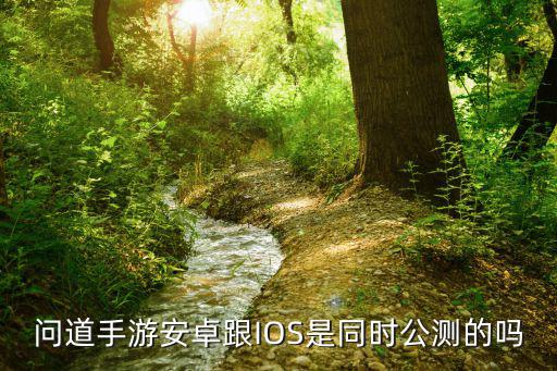 问道手游公测怎么下载，问道手游安卓跟IOS是同时公测的吗