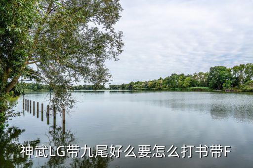 神武LG带九尾好么要怎么打书带F