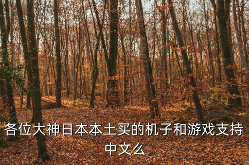 各位大神日本本土买的机子和游戏支持中文么