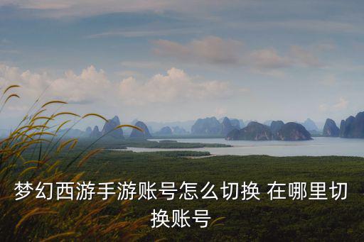 梦幻西游手游账号怎么切换 在哪里切换账号