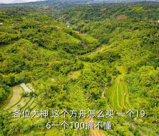 各位大神 这个方舟怎么买 一个196一个100搞不懂