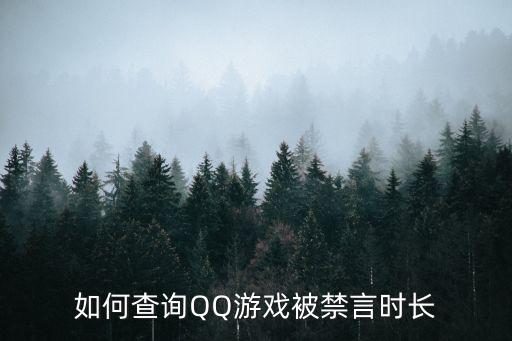 如何查询QQ游戏被禁言时长