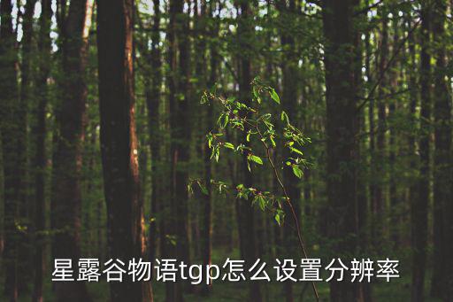 星露谷物语tgp怎么设置分辨率